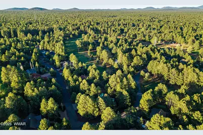 3417 Roaring Fork Drive, Pinetop, AZ 85935 - Photo 47