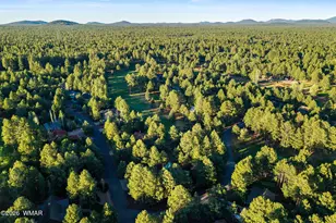 3417 Roaring Fork Dr, Pinetop, AZ 85935 - Photo 47