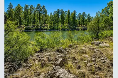 688 Pine Creek Drive, Lakeside, AZ 85929 - Photo 7