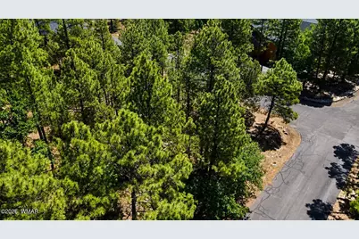 711 Pine Creek Drive, Lakeside, AZ 85929 - Photo 5