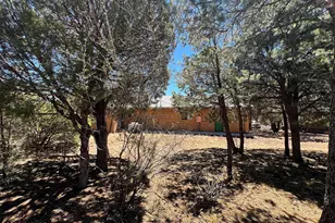 3428 High Country Dr, Heber, AZ 85928 - Photo 47