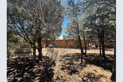3428 High Country Drive, Heber, AZ 85928 - Photo 49