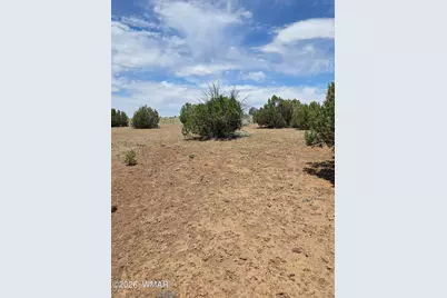 2385 White River Place, Show Low, AZ 85901 - Photo 5