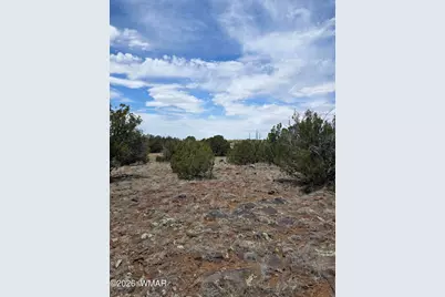 2385 White River Place, Show Low, AZ 85901 - Photo 3