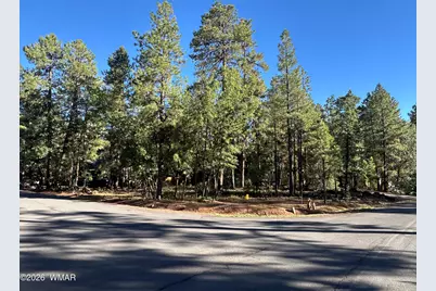 6001 Pitch Fork Lane, Pinetop, AZ 85935 - Photo 3