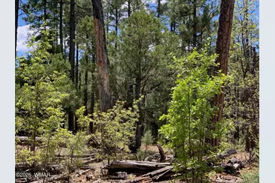 1400 W Manzanita Trail, Lakeside, AZ 85929 - Photo 21