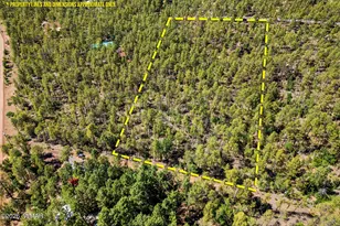 1400 W Manzanita Trail, Lakeside, AZ 85929 - Photo 1