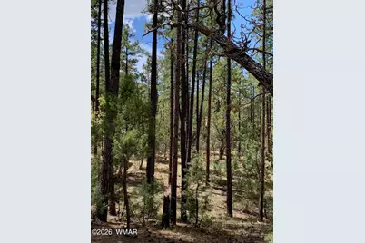 1400 W Manzanita Trail, Lakeside, AZ 85929 - Photo 23