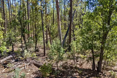 1400 W Manzanita Trail, Lakeside, AZ 85929 - Photo 7