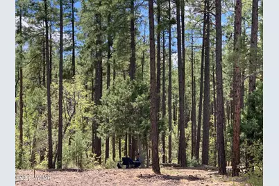 1400 W Manzanita Trail, Lakeside, AZ 85929 - Photo 5
