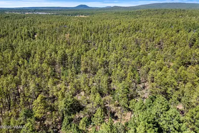 1400 W Manzanita Trail, Lakeside, AZ 85929 - Photo 19