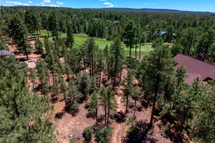 4531 W Foxglove Ln, Show Low, AZ 85901 - Photo 1