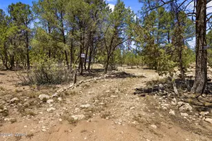 2142 Rimview Trail, Overgaard, AZ 85933 - Photo 27