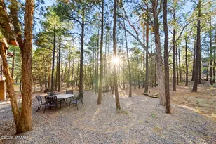 3560 W Falling Leaf Rd, Show Low, AZ 85901 - Photo 43