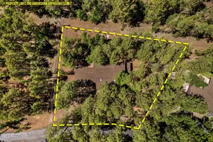 3584 Woodpecker Ln, Pinetop, AZ 85935 - Photo 51