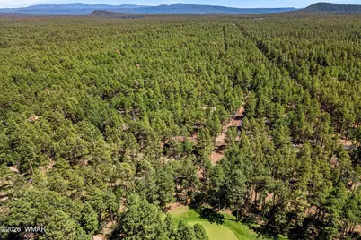 3584 Woodpecker Lane, Pinetop, AZ 85935 - Photo 49