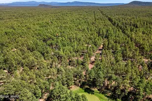 3584 Woodpecker Ln, Pinetop, AZ 85935 - Photo 49