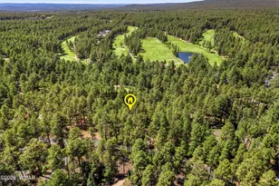 3584 Woodpecker Ln, Pinetop, AZ 85935 - Photo 5