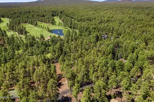 3584 Woodpecker Ln, Pinetop, AZ 85935 - Photo 47
