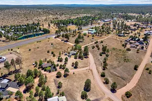 2727 Pine Meadow Dr, Overgaard, AZ 85933 - Photo 31