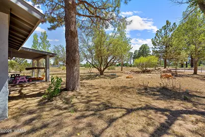 2727 Pine Meadow Drive, Overgaard, AZ 85933 - Photo 3