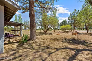 2727 Pine Meadow Dr, Overgaard, AZ 85933 - Photo 3