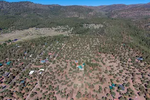 19 County Road N2158, Nutrioso, AZ 85932 - Photo 37