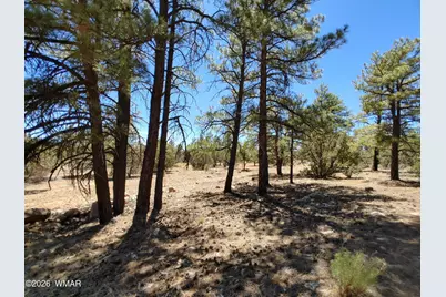 945 Full House Lane, Show Low, AZ 85901 - Photo 19