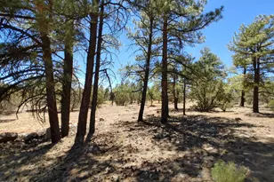 945 Full House Ln, Show Low, AZ 85901 - Photo 19