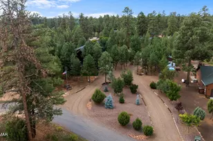 2046 Christmas Pine Rd, Overgaard, AZ 85933 - Photo 63