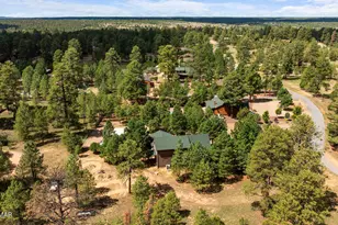 2046 Christmas Pine Rd, Overgaard, AZ 85933 - Photo 69