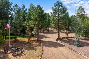 2046 Christmas Pine Rd, Overgaard, AZ 85933 - Photo 65