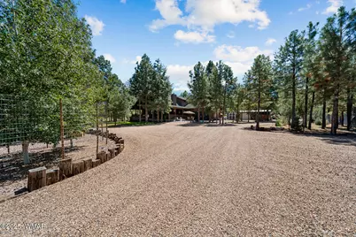 2046 Christmas Pine Road, Overgaard, AZ 85933 - Photo 3