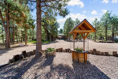2046 Christmas Pine Road, Overgaard, AZ 85933 - Photo 5