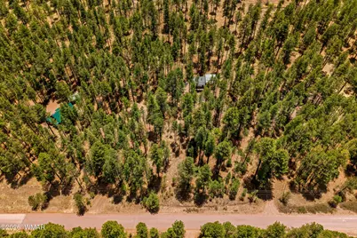 70 County Road 2266, Alpine, AZ 85920 - Photo 39