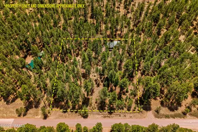 70 County Road 2266, Alpine, AZ 85920 - Photo 45