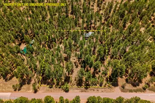 70 County Road 2266, Alpine, AZ 85920 - Photo 45