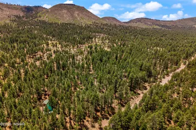 70 County Road 2266, Alpine, AZ 85920 - Photo 43