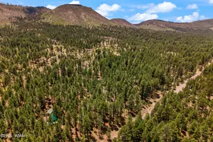 70 County Road 2266, Alpine, AZ 85920 - Photo 43