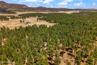 70 County Road 2266, Alpine, AZ 85920 - Photo 41