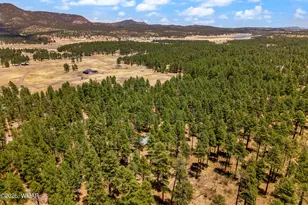 70 County Road 2266, Alpine, AZ 85920 - Photo 41