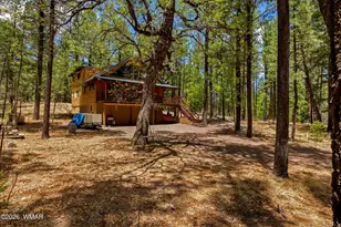 70 County Road 2266, Alpine, AZ 85920 - Photo 39