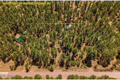 70 County Road 2266, Alpine, AZ 85920 - Photo 3