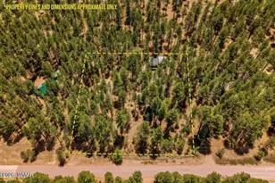 70 County Road 2266, Alpine, AZ 85920 - Photo 3