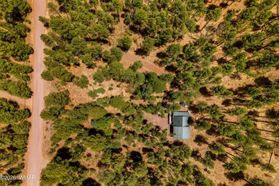 70 County Road 2266, Alpine, AZ 85920 - Photo 37