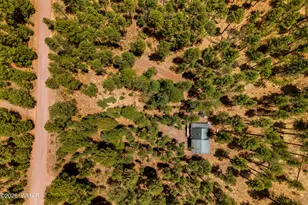 70 County Road 2266, Alpine, AZ 85920 - Photo 37