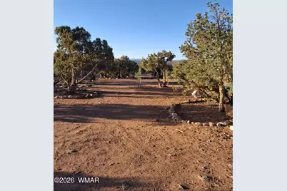 690 Stanford Drive, Concho, AZ 85924 - Photo 11