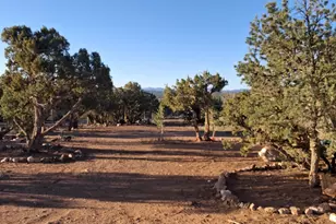690 Stanford Dr, Concho, AZ 85924 - Photo 11