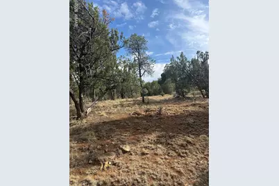 1522 Foxtail Lane, Heber, AZ 85928 - Photo 1