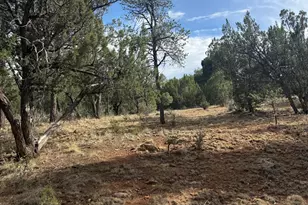 1522 Foxtail Ln, Heber, AZ 85928 - Photo 1